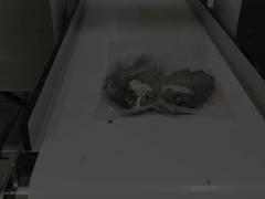 Detector de metales industrial de pantalla táctil Productos lácteos de salud Equipo de detección de metales