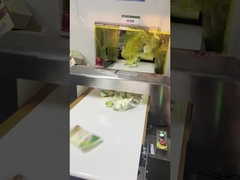 Detector de metales de transporte automático Seguridad alimentaria para línea de paquetes, tamaño del túnel 300 * 150mm