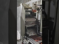 Safeline radiografía los sistemas de inspección de SystemsX-Ray de la inspección para los productos embalados