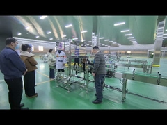 Máquina de inspección de rayos X de alimentos para la industria productos enlatados para mascotas