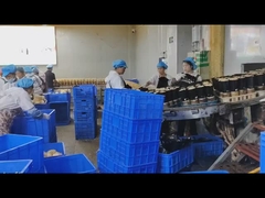 Tomas de la estructura completa del detector de metales de alimentos de 304 inoxidable con procesamiento de señales digitales y OEM