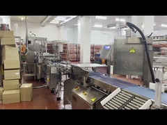 Equipo de inspección de rayos X de alimentos de autoaprendizaje para control y producción industrial