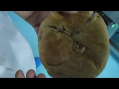 Automático transportador industrial detector de metales para la seguridad de los alimentos máquina personalizada OEM fabricante