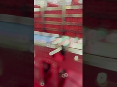 Máquina de detección de objetos extraños de inspección de rayos X de alimentos industriales