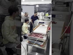 Detector de metales de la categoría alimenticia