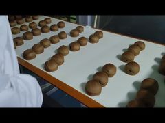 0.01g Detector de metales de resolución para procesamiento de alimentos protege sus productos de la contaminación por metales