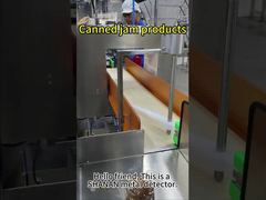 Vea por qué elegir el detector de metales para alimentos SHANAN Security Inspection con peso ligero