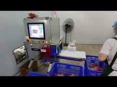 Máquina industrial de inspección por rayos X de alimentos para control de calidad