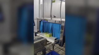 Sistema de inspección por rayos X de alimentos industriales SHANAN